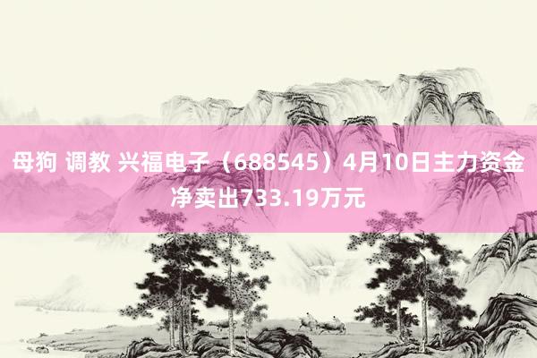 母狗 调教 兴福电子（688545）4月10日主力资金净卖出733.19万元