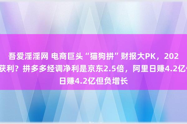 吾爱淫淫网 电商巨头“猫狗拼”财报大PK，2024年谁最获利？拼多多经调净利是京东2.5倍，阿里日赚4.2亿但负增长