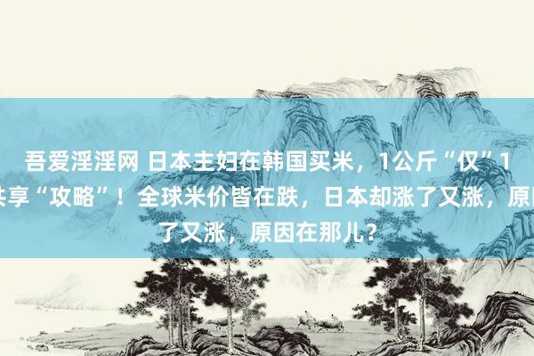 吾爱淫淫网 日本主妇在韩国买米，1公斤“仅”15元，还共享“攻略”！全球米价皆在跌，日本却涨了又涨，原因在那儿？