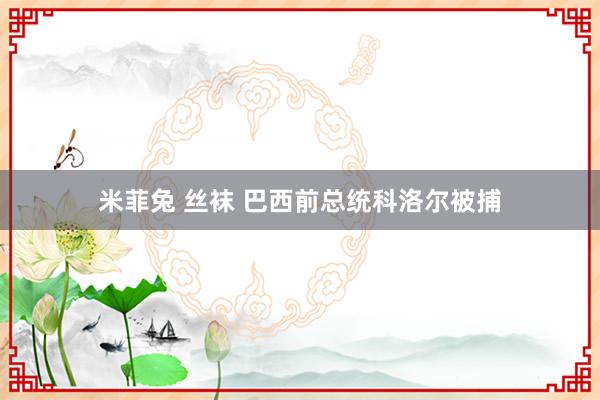 米菲兔 丝袜 巴西前总统科洛尔被捕