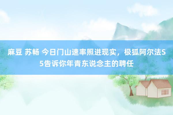 麻豆 苏畅 今日门山速率照进现实，极狐阿尔法S5告诉你年青东说念主的聘任