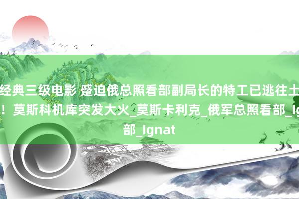 经典三级电影 蹙迫俄总照看部副局长的特工已逃往土耳其！莫斯科机库突发大火_莫斯卡利克_俄军总照看部_Ignat
