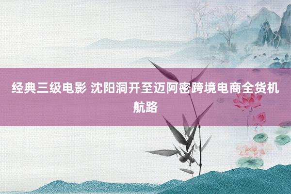 经典三级电影 沈阳洞开至迈阿密跨境电商全货机航路