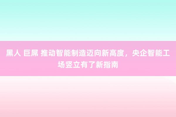 黑人 巨屌 推动智能制造迈向新高度，央企智能工场竖立有了新指南