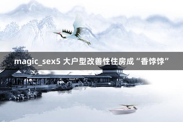 magic_sex5 大户型改善性住房成“香饽饽”